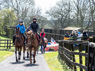 AK310322-99 - Alan King Stable Visit